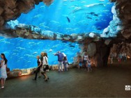 Nanchang Aquarium1